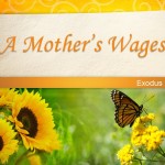 A mothers wages